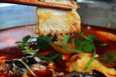 魚火鍋技術培訓，鍋底不含色素久吃不上