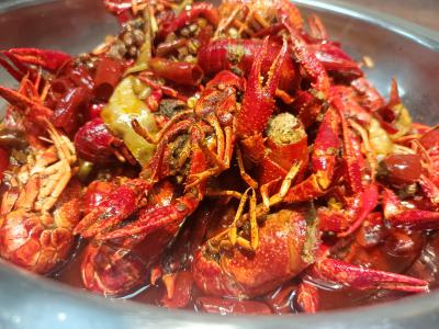 學(xué)做小龍蝦技術(shù)做法哪里比較好？