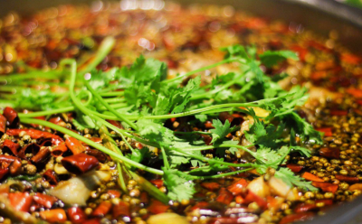 成都美蛙魚(yú)培訓(xùn)那家好？