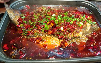 想學(xué)烤魚(yú)技術(shù)哪里專業(yè)？