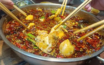成都火鍋美蛙魚哪里教學好？學習美蛙魚要多久