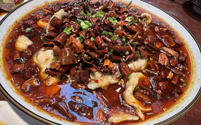 成都涼拌菜培訓(xùn)如何選擇？學(xué)習(xí)涼菜技術(shù)哪里好