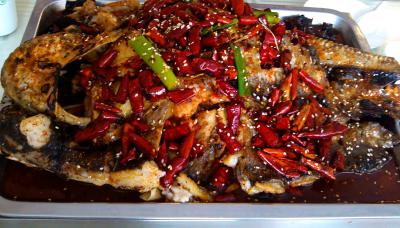 成都烤魚技術(shù)培訓(xùn)學(xué)校排名,學(xué)習(xí)烤魚技術(shù)培訓(xùn)學(xué)費？